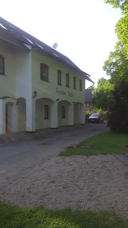 Pension.No30 Svijany Екстериор снимка